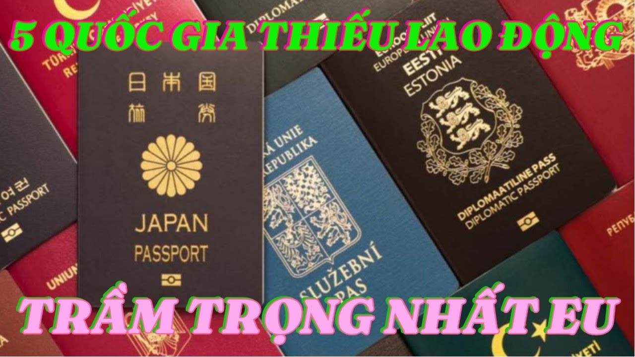 Video định hướng thị trường lao động Châu Âu