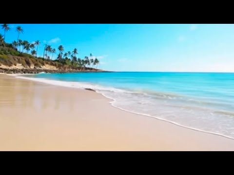 8 Hours of Ocean Waves on a Tropical Beach🌴 | Pure Relaxing Sea Sounds for Sleep, Study & Meditation
