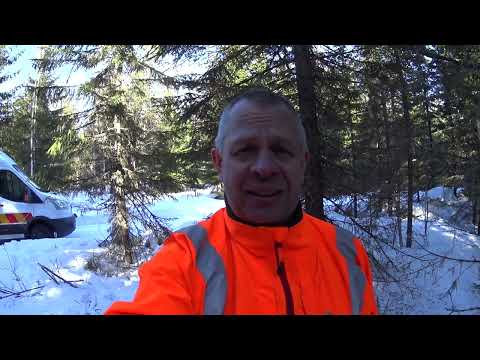 Metsolan Metsäkoulu 254 - Älä hyvä mies kaada ajouralle!