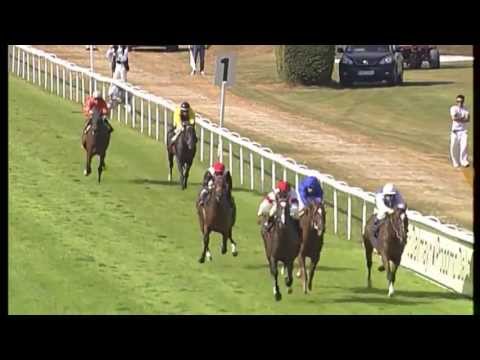 München: Großer Dallmayr-Preis (Gruppe 1) - Sieger: Neatico