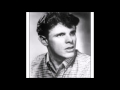 Hey! Baby    DEL SHANNON