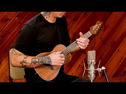 Ortega Horizon Series RUWN Konzert-Ukulele