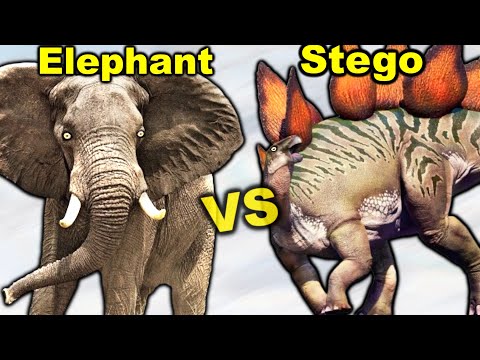 Elephant vs Stegosaurus - Who Would Win a Fight