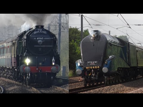 4464 Bittern vs 60163 Tornado 90mph runs comparison