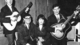 The Seekers - Don't Tell Me My Mind