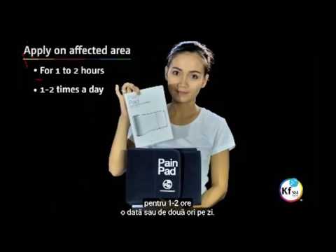 2017 04 12 PM Public Teaching in Romanian - Cursuri publice în română