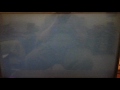Opening To The Journey Of Natty Gann 1986 VHS