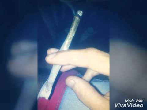 Hoje Tá Bom Pra Fuma 1