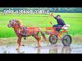 New Horse And Cart വീണ്ടും നമ്മൾ കുതിരയും കുതിരവ