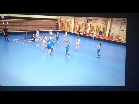 KaPa-65 - Blue Fox, maalikooste