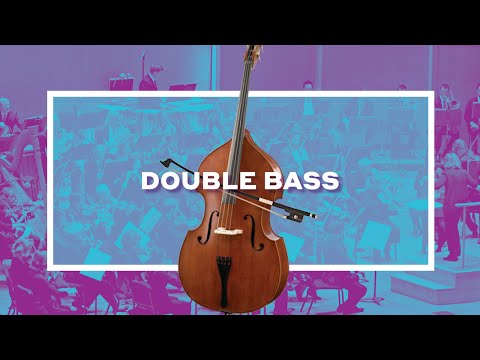 BPO Double Bass