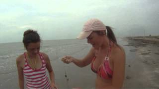 Hard Head Catfish Are Dangerous