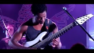 new Animal as Leaders, Brain Dance - Gone is Gone, Sentient - Amon Amarth - Morello/Knife Party!