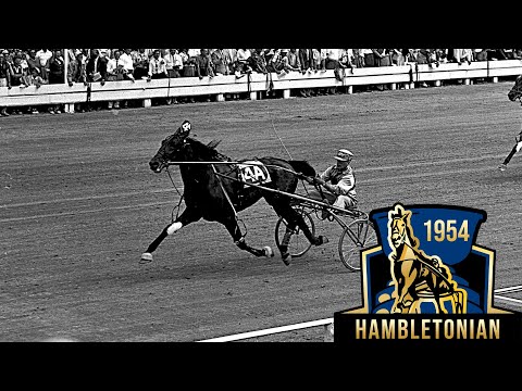 1954 Hambletonian - Newport Dream