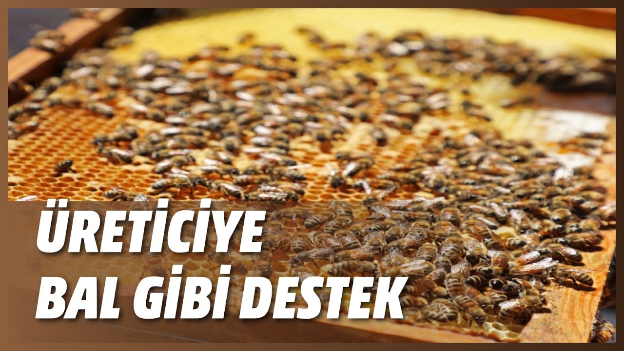 ÜRETİCİYE BAL GİBİ DESTEK