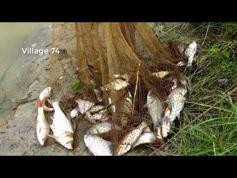 Unbelievable Cast Net Fishing Videos।Catching Lot of fish by cast net। Net fishing videos(part-750)