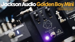 Video thumbnail for Jackson Audio Golden Boy Mini | Everything you'd want in a Bluesbreaker pedal? by Ambient Endeavors