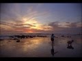 Dan Siegel - Distant Thoughts