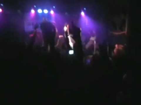 Zion Train (Cultural Reggae Vibez 2012)