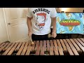 The Wild Thornberrys Theme Percussion Cover