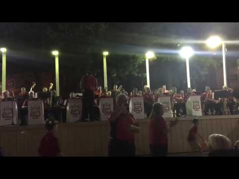 Ferko String Band "Ferko Band" - Mummers Museum 2016