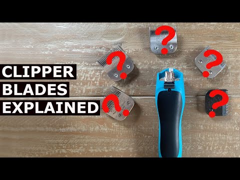 Picking The Right Clipper Blades For Dogs