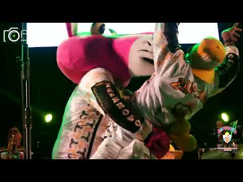 GITANA ♪  - Orquesta ZAPEROKO La Resistencia Salsera del Callao