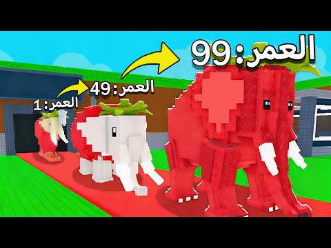 من 0 فلوس الى 1 ترليون لاكن البرينروت يكبر كل شوي 🤑 Roblox Steal a Brainrot