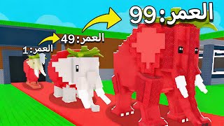 من 0 فلوس الى 1 ترليون لاكن البرينروت يكبر كل شوي ???? Roblox Steal a Brainrot