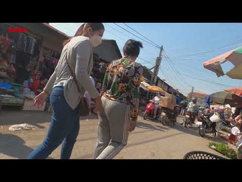 Countryside Market Views In The Morning