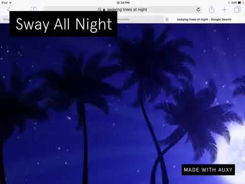 Sway All Night