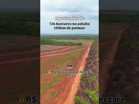 Fazenda Dupla aptidão 150 alqueires (726 hectares) Rio Sono TO #fazendaavenda #agro