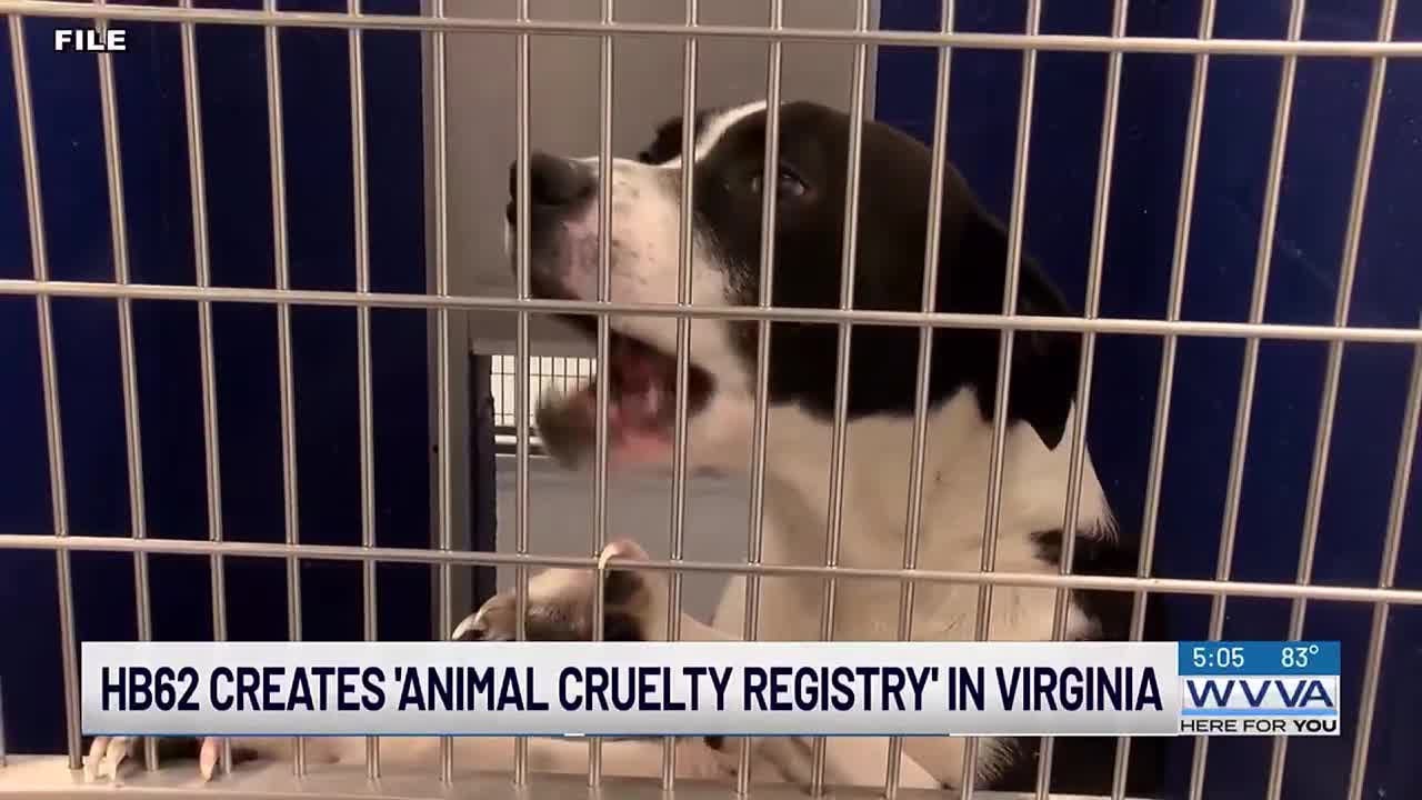 Virginia House bill creates optional 'animal cruelty registry'