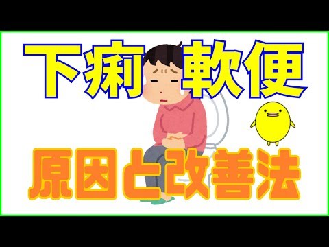 高齢犬の下痢 – 原因と対処法