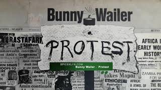 Bunny Wailer : Who Feels It (1977) #vinyl