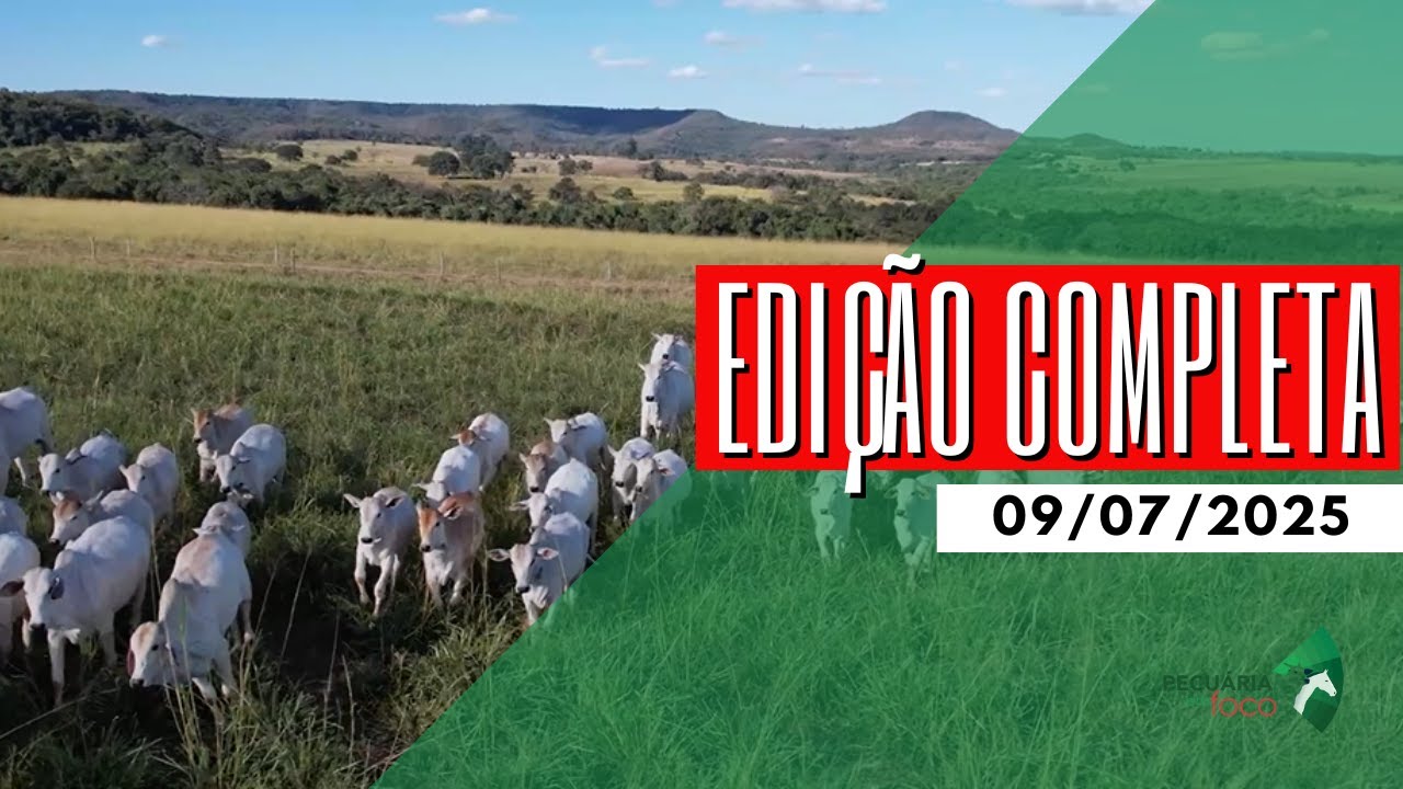 PECUÁRIA EM FOCO - EDIÇÃO COMPLETA - 09/07/2025