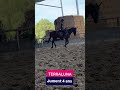 Merveilleuse 4 ans r&eacute;form&eacute;e des courses d'obstacle