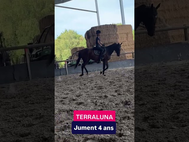 Merveilleuse 4 ans r&eacute;form&eacute;e des courses d'obstacle