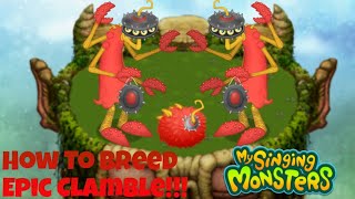 How To Breed Epic Clamble [ Read Desc. ] | My Singing Monsters
