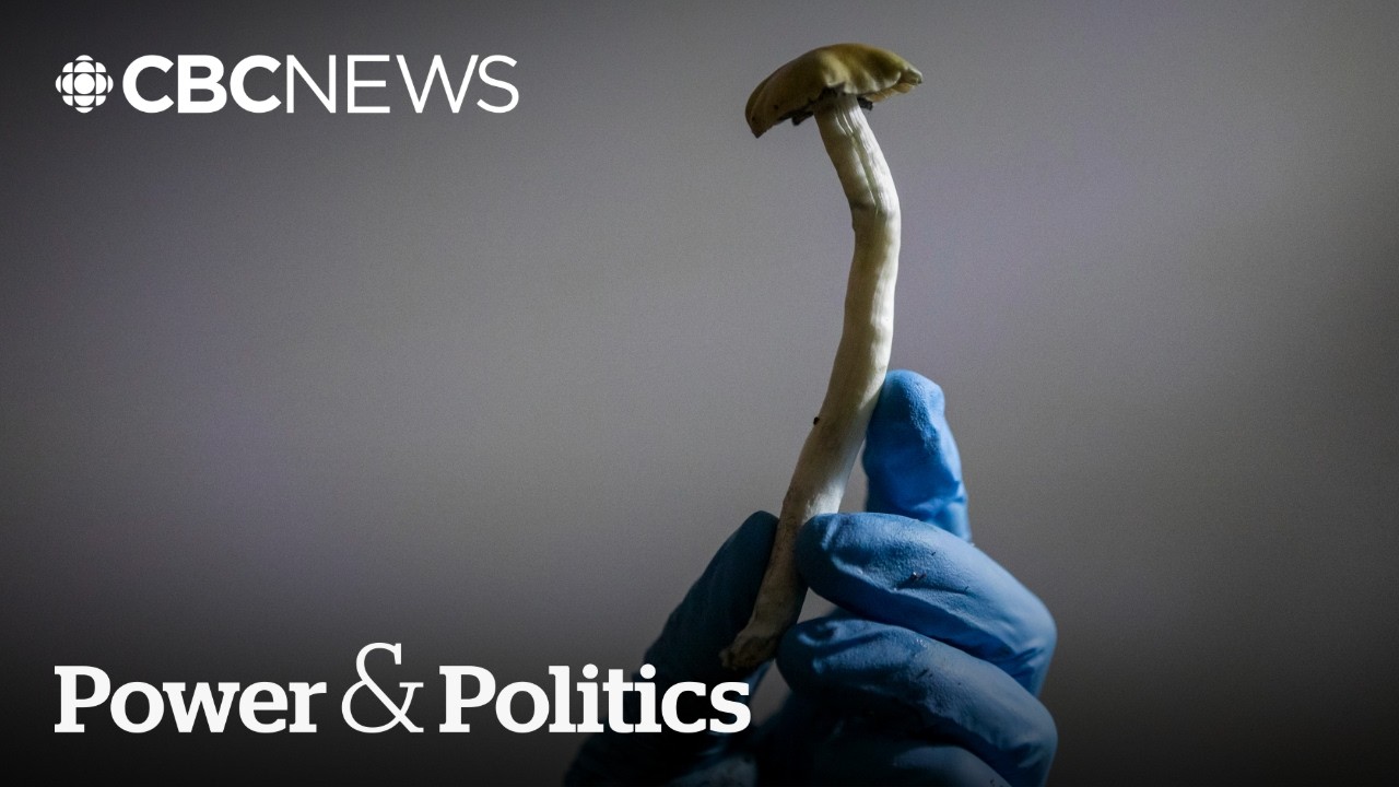 Video: Conservative MP introduces bill to ease psilocybin access for medical use