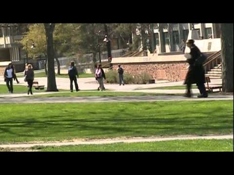 The Rise of Alternative Media