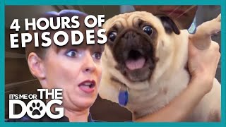 Thumbnail del capítulo