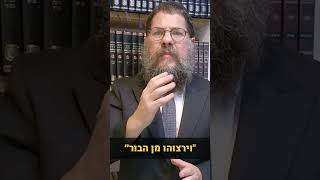 יש סיבה למה החטופים חזרו דווקא בשמחת תורה‼️ (הרב שניאור אשכנזי) - התמונה מוצגת ישירות מתוך אתר האינטרנט יוטיוב. זכויות היוצרים בתמונה שייכות ליוצרה. קישור קרדיט למקור התוכן נמצא בתוך דף הסרטון יש סיבה למה החטופים חזרו דווקא בשמחת תורה‼️ (הרב שניאור אשכנזי) - התמונה מוצגת ישירות מתוך אתר האינטרנט יוטיוב. זכויות היוצרים בתמונה שייכות ליוצרה. קישור קרדיט למקור התוכן נמצא בתוך דף הסרטון