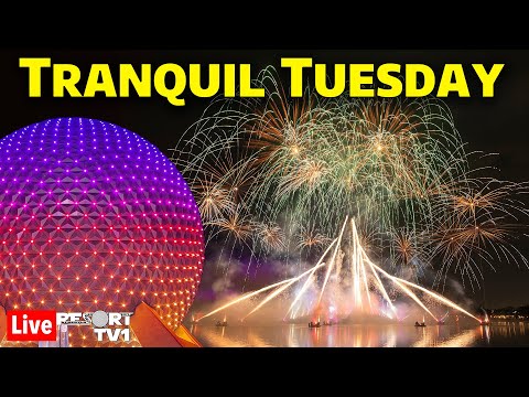 🔴Live: Tranquil Tuesday at Epcot - Luminous is Back on Stream!  Walt Disney World - 4-30-24