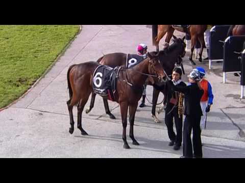 Belmont Park, 04/06/2016 - Race 2 - PRETENTIOUS CHANT - Gavin Foster & Shaun O'Donnell
