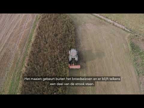 Beheerovereenkomsten in het Dijleland