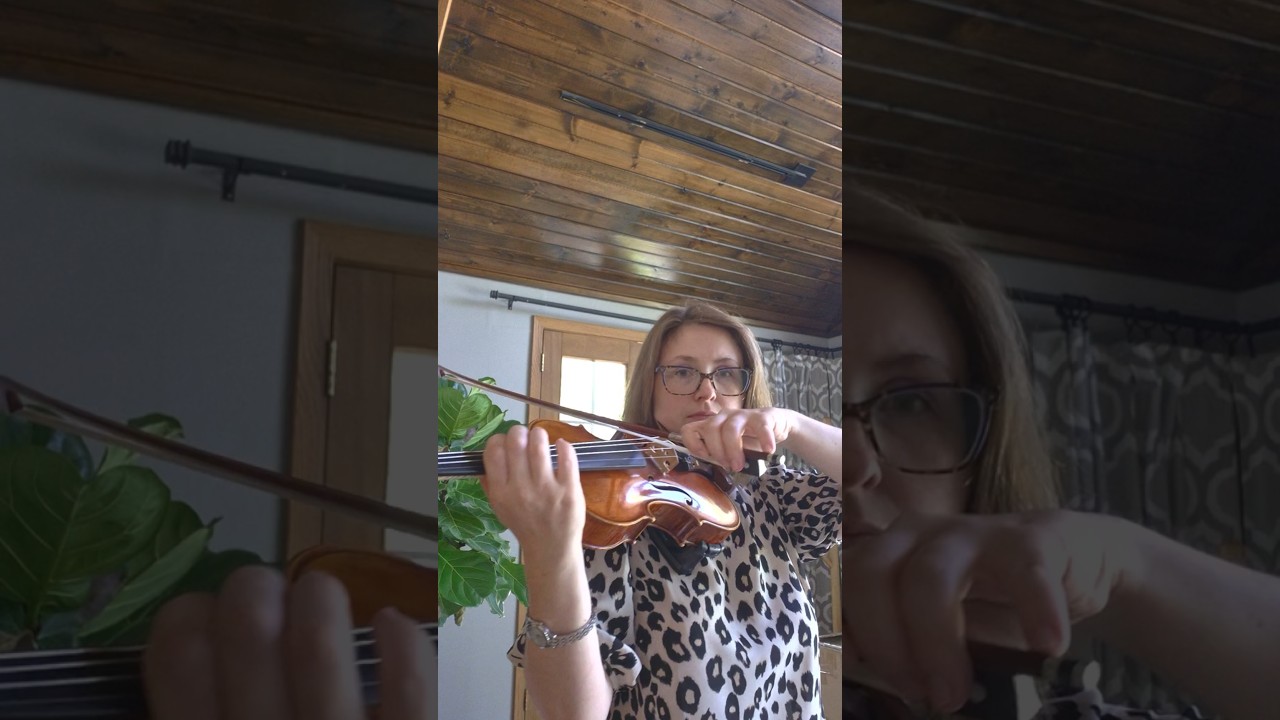 Promotional video thumbnail 5 for Moody Violin