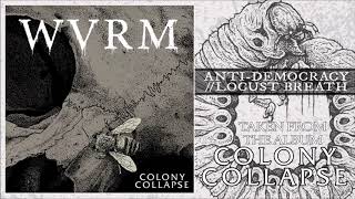 Anti-Democracy / Locust Breath Music Video