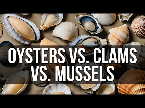 Oysters Vs. Clams Vs. Mussels: What's the Real Difference?