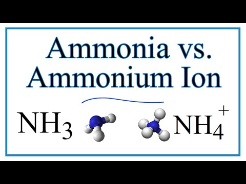 Ammonia vs the Ammonium Ion (NH3 vs NH4 +)